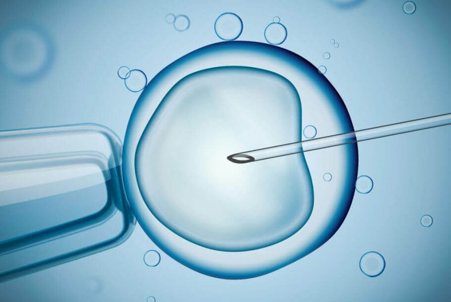 ivf-1024x765-910x610